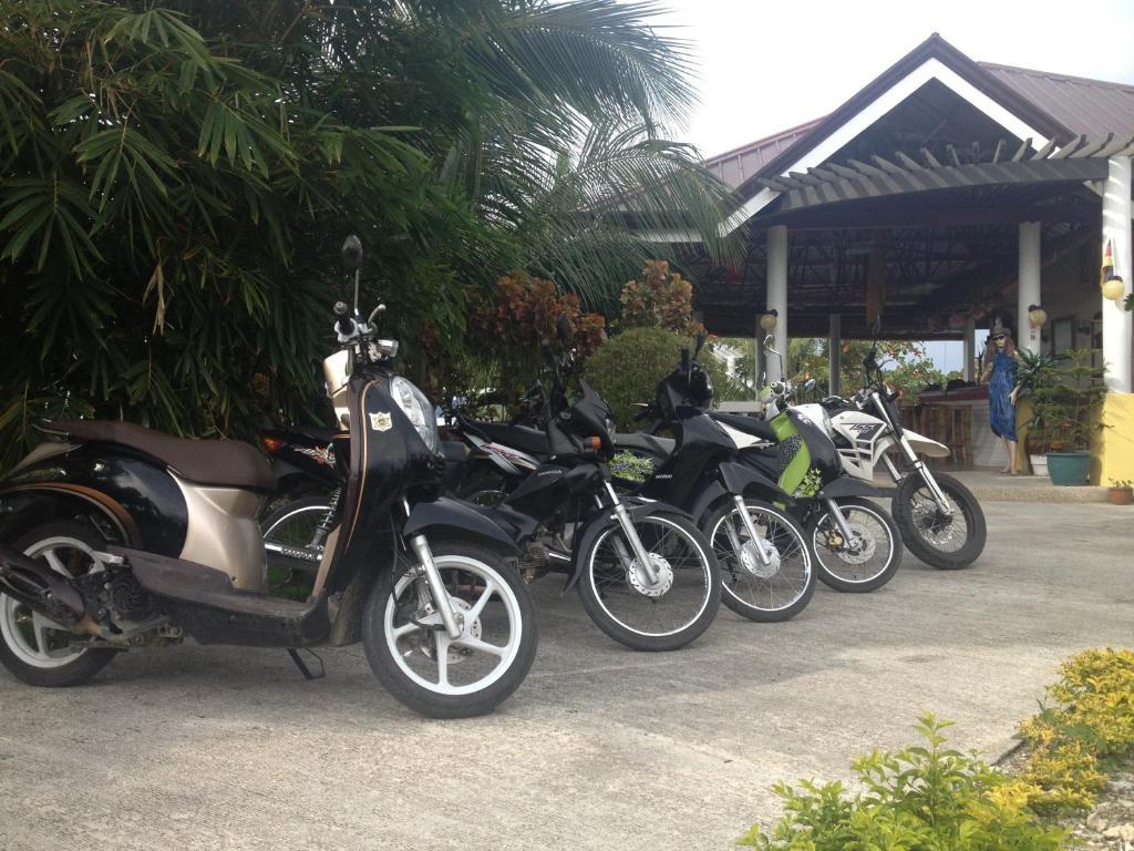 Moalboal Beach Resort Alcantara  ภายนอก รูปภาพ